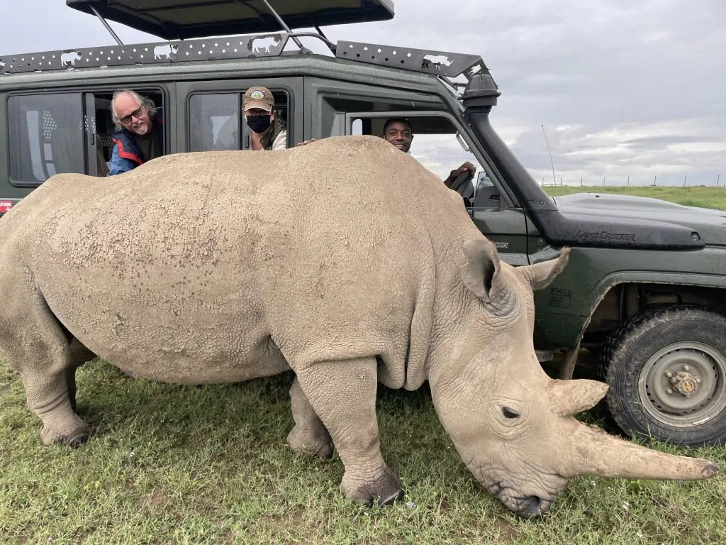 Full day game drive at Olpejeta conservancy and spotiing the last white rhino on Earth.