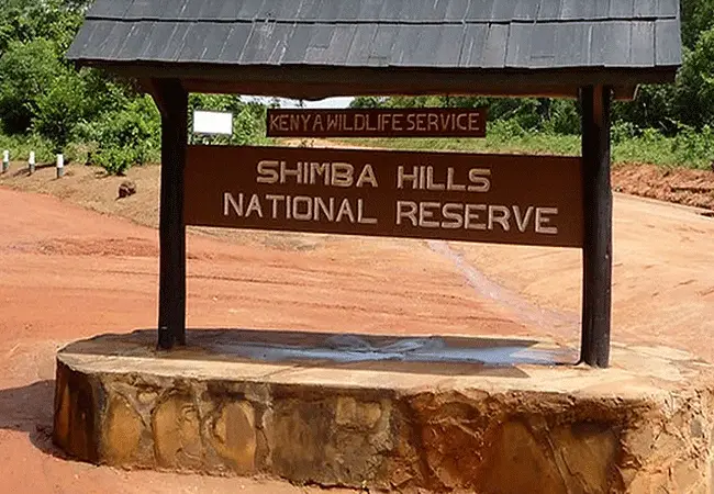 affordable one day shimba hills tour by Belli Asili Voyages the best tour operator for coastal trips and adventures