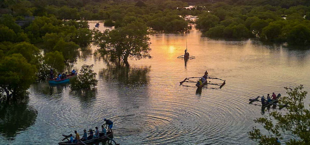 Peaceful canoe ride along the lush Kongo river Mangroves  and the best diani ocean bliss provided by the best tour operator in Kenya, Belle Asili Voyages.