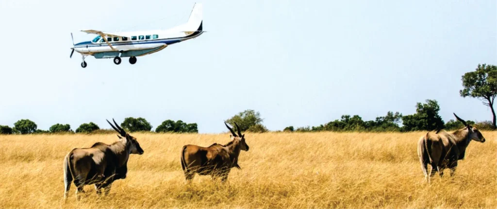 Plane flying in over masai mara as tourists have a moment of their life and the best experience of Magical Kenya safari in Masai Mara
